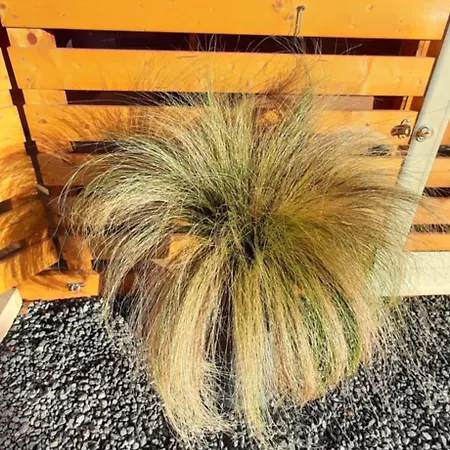 шангри ла - 1, плаж градина *