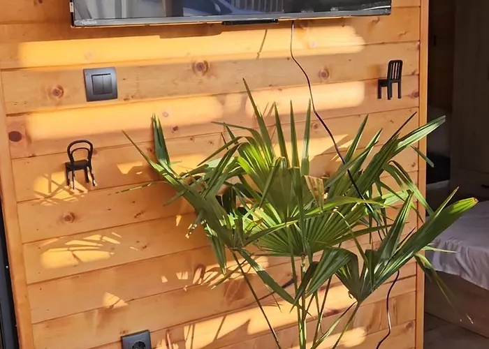 шангри ла - 1, плаж градина Kamp alanı Süzebolu